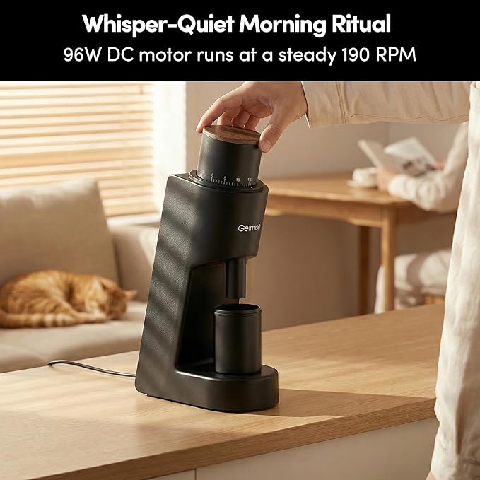 Single Dose Coffee Grinder,Wirsh Geimori GU38 Coffee Grinder with 38mm 6-Core Stainless Steel Conical Burr, 0.01mm Stepless Adjustment, Low Retention Espresso Grinder with Magnetic Dosing Cup,Upgrade