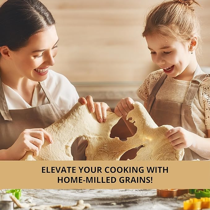 Handheld Iron Grain Mill - Manual Mill Food Grinder Hand Crack Corn Grinder Crank Grains Oats Corn Wheat Coffee Nuts Malt Mill Hand Operated Grain
