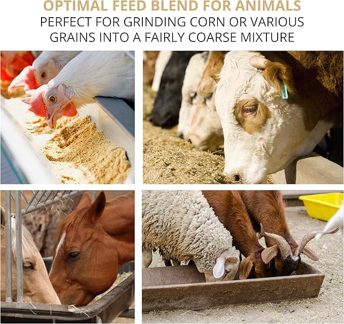 Handheld Iron Grain Mill - Manual Mill Food Grinder Hand Crack Corn Grinder Crank Grains Oats Corn Wheat Coffee Nuts Malt Mill Hand Operated Grain